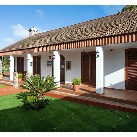 Live Naranjeros Villa Tacoronte